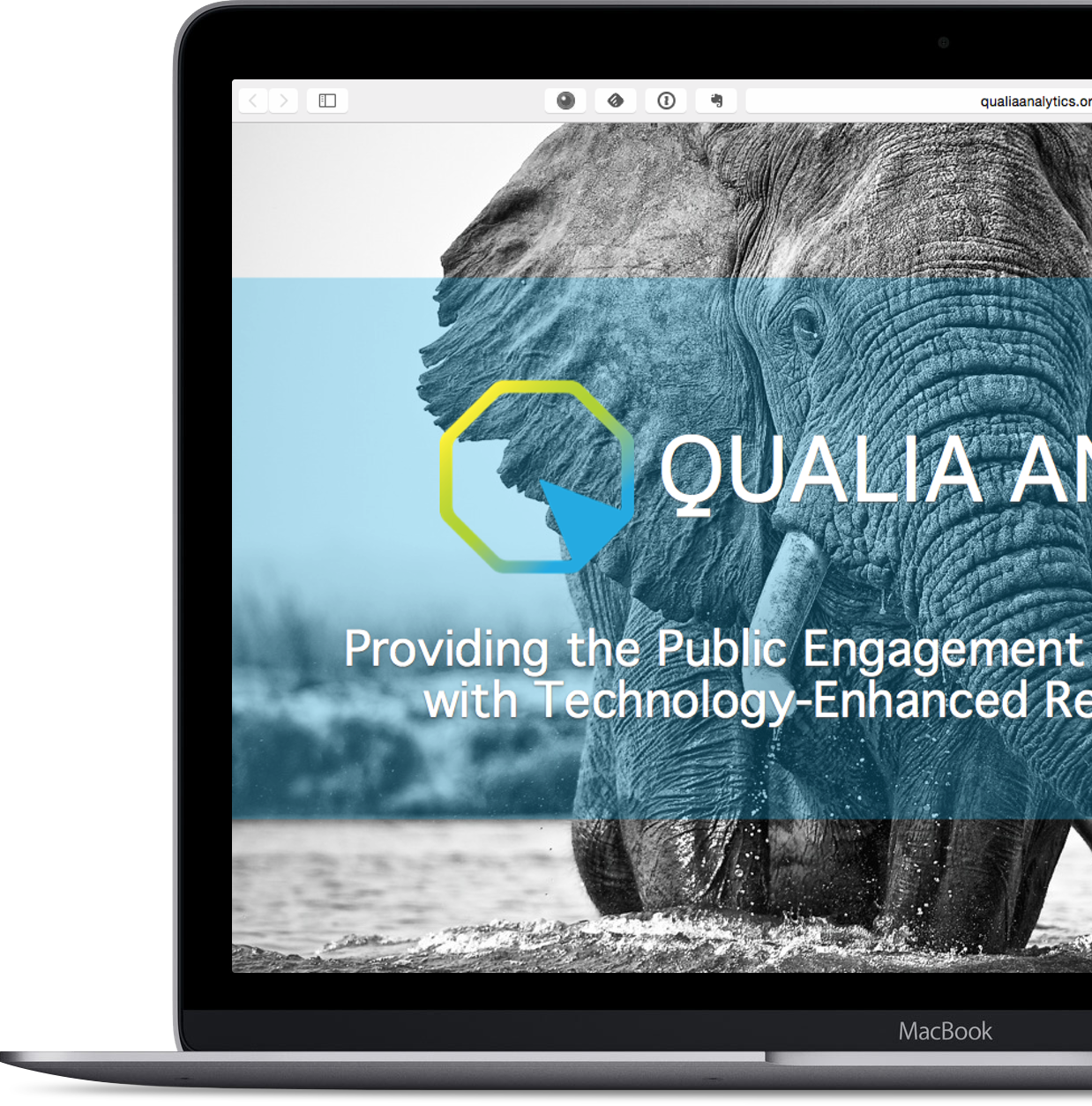 Qualia Analyics landing page desktop view